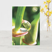 Gelukkige, magische, dauwdruppel vriendschap kaart (Gele Bloem)