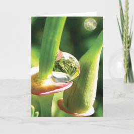 Gelukkige, magische, dauwdruppel vriendschap kaart