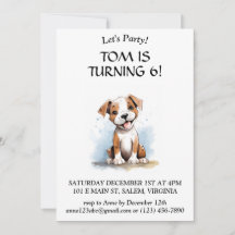 Gelukkige minimalistische Pitbull Pit Bull Terrier