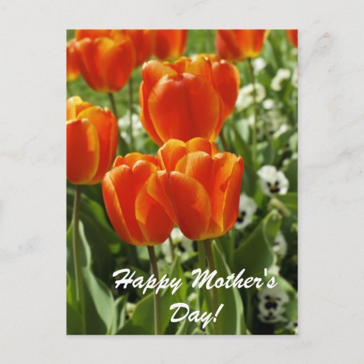 Gelukkige Moederdag Briefkaart (Voorkant)
