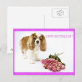Gelukkige Moederdag Cavalier Met Rozenboeket Briefkaart (Voorkant / Achterkant)