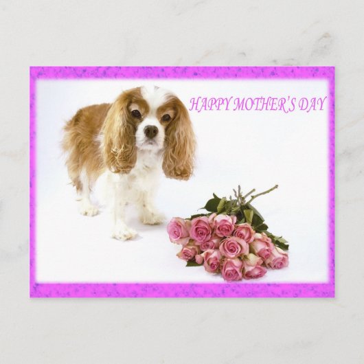 Gelukkige Moederdag Cavalier Met Rozenboeket Briefkaart (Voorkant)