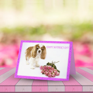 Gelukkige Moederdag Cavalier Met Rozenboeket Kaart