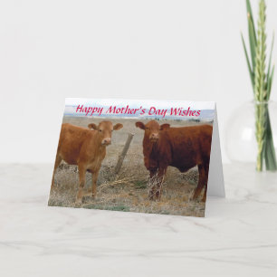 Gelukkige Moederdag Koeien - Western Kaart