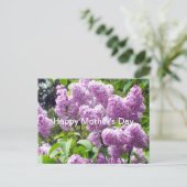 Gelukkige Moederdag-Lila Struik Briefkaart (Staand voorkant)