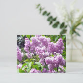 Gelukkige Moederdag-Lila Struik Briefkaart (Staand voorkant)