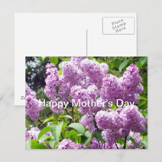 Gelukkige Moederdag-Lila Struik Briefkaart (Voorkant / Achterkant)