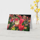 Gelukkige Moederdag Met Tulpen Kaart (Gele Bloem)