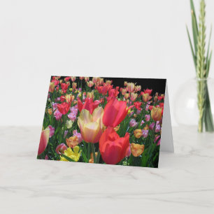 Gelukkige Moederdag Met Tulpen Kaart