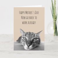 Gelukkige Moederdag Sociale Afstand Grumpy Kat
