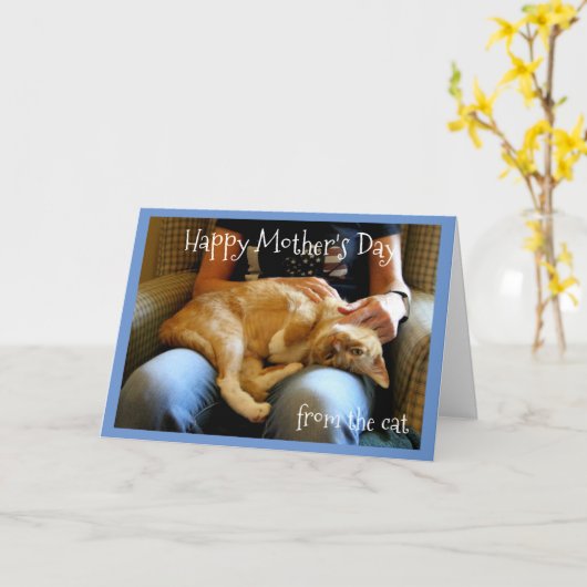 Gelukkige Moederdag van de kat Kaart (Gele Bloem)