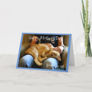 Gelukkige Moederdag van de kat Kaart