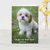 Gelukkige Moederdag van Edie de Shih Tzu Kaart (Gele Bloem)