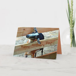 Gelukkige Moederdag van Schattig Kind (geit) Kaart