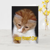 Gelukkige Moedersdag! Kitten Kaart (Gele Bloem)
