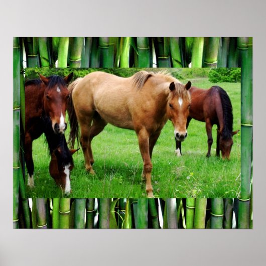 GELUKKIGE PAARDEN POSTER (Voorkant)