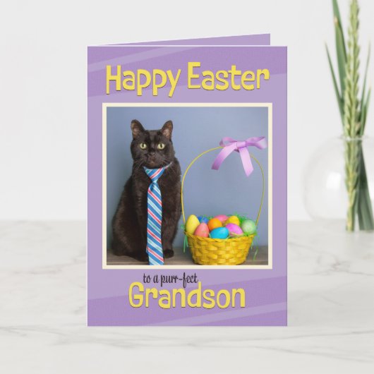 Gelukkige paasjongen Grandson Cute Cat in Stropdas Feestdagen Kaart (Voorkant)