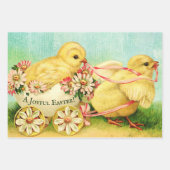 , gelukkige paaspapierbladen inpakpapier vel (Voorkant)