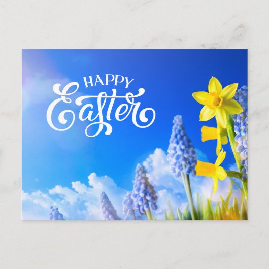 Gelukkige Pasen Daffodils, Lente Bloem Blauwe Bloe Briefkaart (Voorkant)