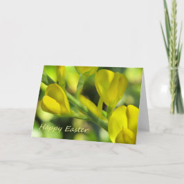 Gelukkige Pasen Feestdagen Kaart