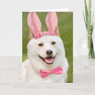 Gelukkige Pasen Iedereen Shiba Inu Hond in Bunny E Feestdagen Kaart