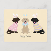 Gelukkige Pasen Labrador Retriever Honden Feestdagenkaart (Voorkant)