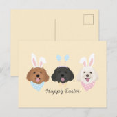 Gelukkige Pasen Maltipoo Honden Briefkaart (Voorkant / Achterkant)