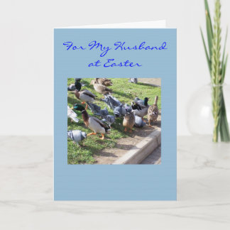 Gelukkige Pasen man Kaart - eenden en duiven