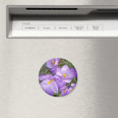 Gelukkige Pasen Paarse Krokusmagneet Magneet (Insitu (Vaatwasser))