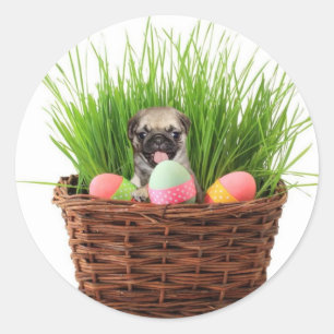 Gelukkige Pasen pug puppy Ronde Sticker