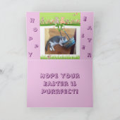 Gelukkige Pasen voor een kattenminnaar Feestdagen Kaart (Binnen)