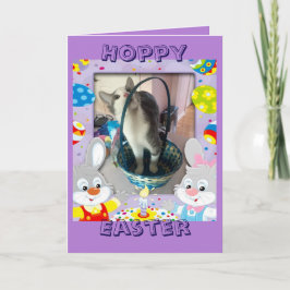 Gelukkige Pasen voor een kattenminnaar Feestdagen Kaart