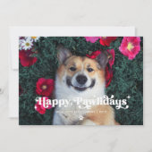Gelukkige Pawholidays Hond Foto Grappige Kerstmis Feestdagenkaart (Voorkant)