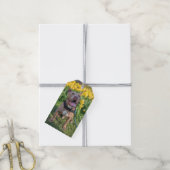 Gelukkige Pit Bull-fotografie Cadeaulabel (Met Touw)