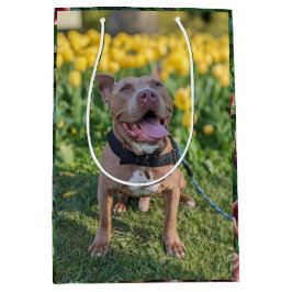 Gelukkige Pitbull met Bloemen Fotografie Medium Cadeauzakje