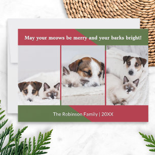 Gelukkige Poezen Grappige Hond Kat Foto Kerstmis Feestdagenkaart