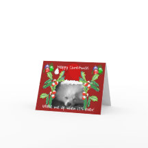 Gelukkige Pommerse Puppy Kerstmis