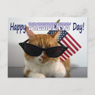 Gelukkige Presidentsdag Koele Kat met Vlag Postkaa Briefkaart