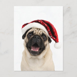 Gelukkige Pug met glinsterende rode kerstman hoed Feestdagenkaart