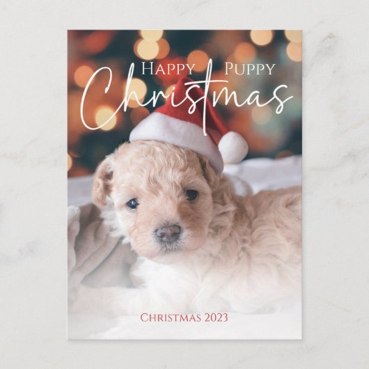 Gelukkige Puppy Kerstmis foto Briefkaart (Voorkant)