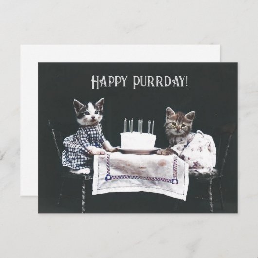 Gelukkige Purrdag Mooie Katten Retro Verjaardag Briefkaart (Voorkant / Achterkant)