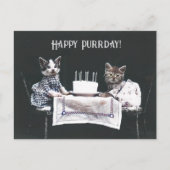 Gelukkige Purrdag Mooie Katten Retro Verjaardag Briefkaart (Voorkant)