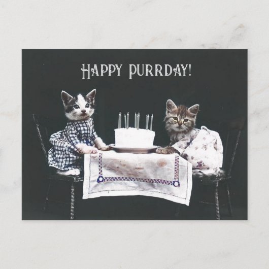 Gelukkige Purrdag Mooie Katten Retro Verjaardag Briefkaart (Voorkant)