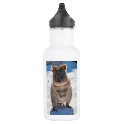 Gelukkige Quokka op het strand in Australië, wit Waterfles (Rechts)