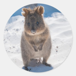 Gelukkige Quokka op het strand Ronde Sticker