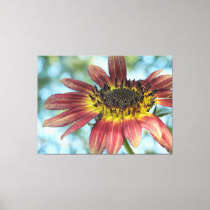Gelukkige Rode Zonnebloem Verpakte Canvas Print