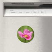 Gelukkige Roze Cosmos Bloem Magneet (Insitu (Vaatwasser))
