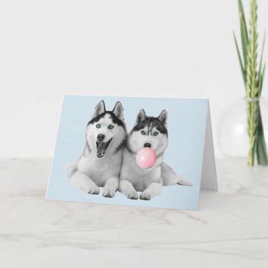 Gelukkige Schattige Siberische Husky's Bubble Gum Kaart (Voorkant)