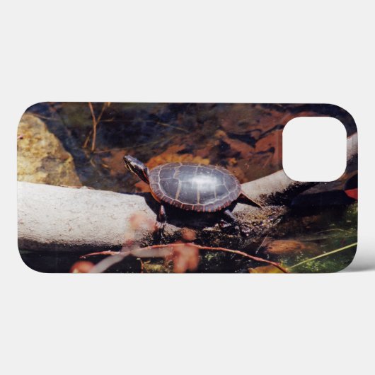 Gelukkige Schildpad Case-Mate iPhone Case (Achterkant (horizontaal))