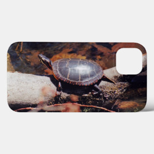 Gelukkige Schildpad iPhone 13 Hoesje